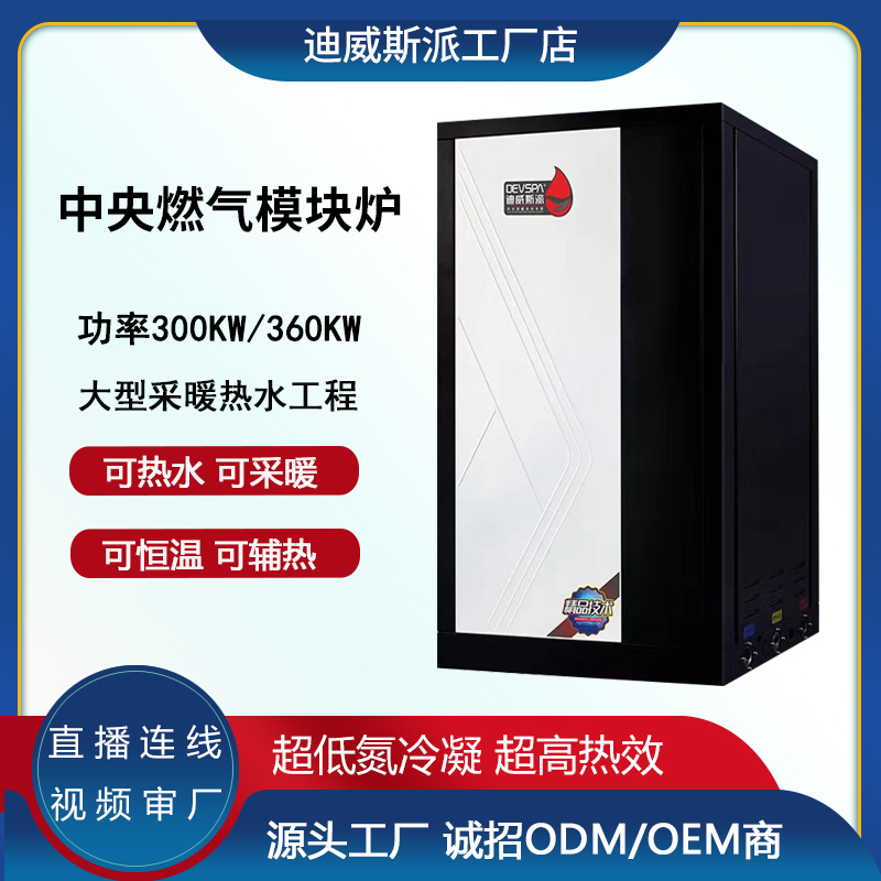 <strong>300-360千瓦中央燃气模块炉</strong>